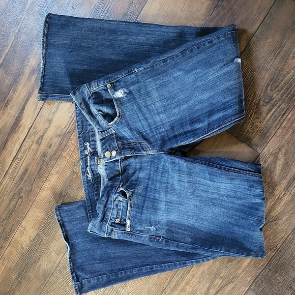 American Eagle Outfitters Denim - EUC AE ARTIST SIZE 10 REG
